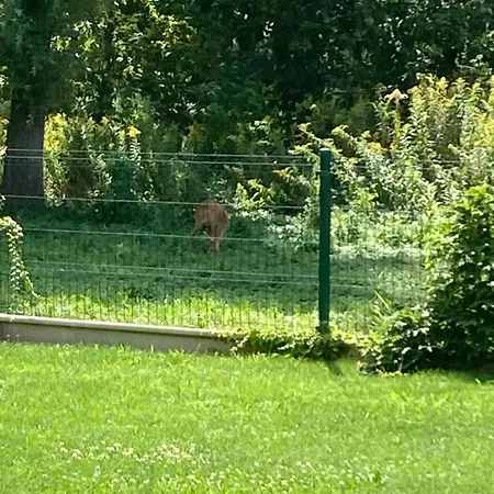Lejlighed Fűzliget Mangó Garden