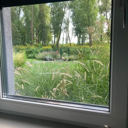 Fűzliget Mangó Garden Balatonfůzfő